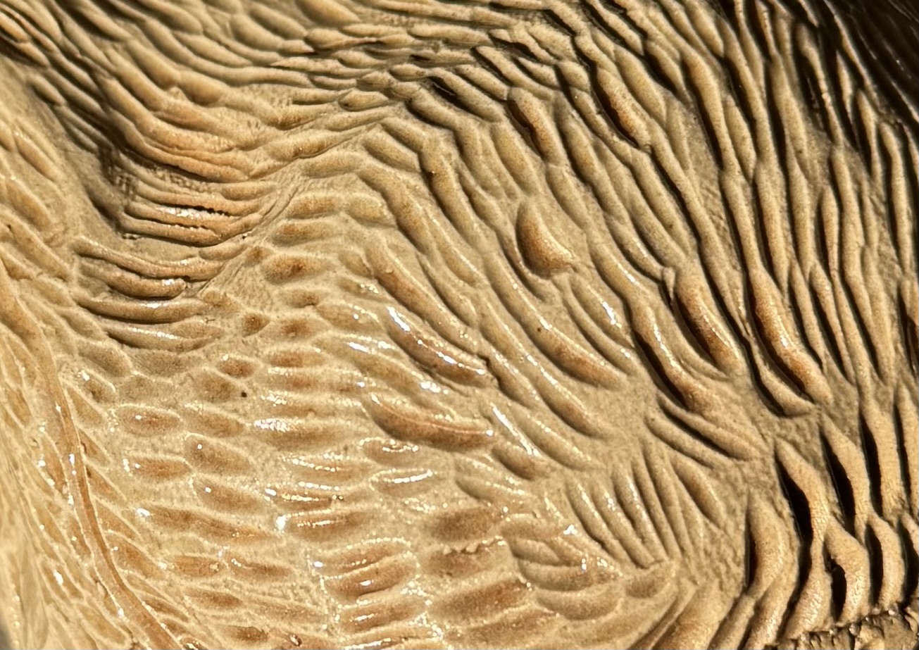 6e89b3c5-e687-4eda-a6d1-2465aa546846